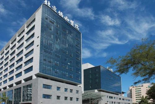 北京协和医院产科从建档到分娩之出院用品 新生儿出生医学证明及产后复查 生育险