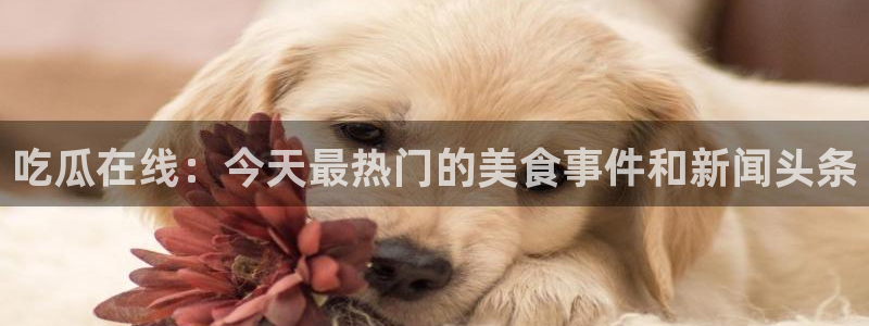 吃瓜爆料网不打烊回家：吃瓜在线：今天最热门的美食事件和新闻头条
