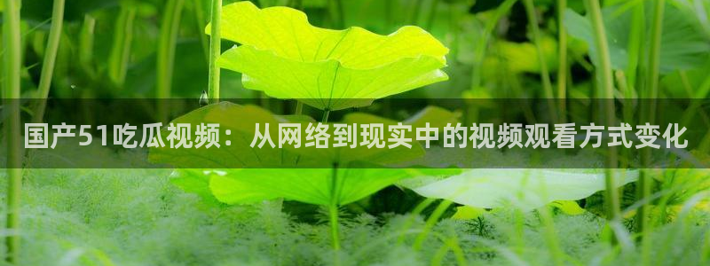 高血糖能吃籽瓜吗：国产51吃瓜视频：从网络到现实中的视频观看方式变化