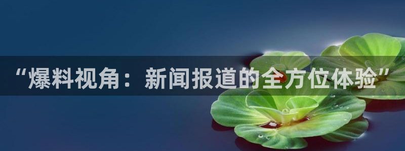 吃瓜的意思：“爆料视角：新闻报道的全方位体验”