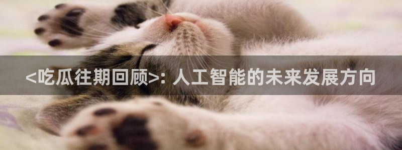 吃瓜.：<吃瓜往期回顾>: 人工智能的未来发展方向