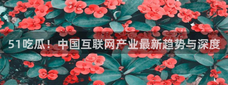 51吃瓜最新官网是多少：51吃瓜！中国互联网产业最新趋势与深度