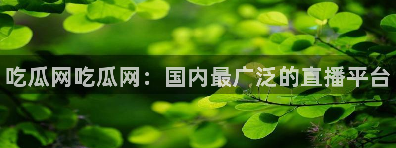 吃瓜事件