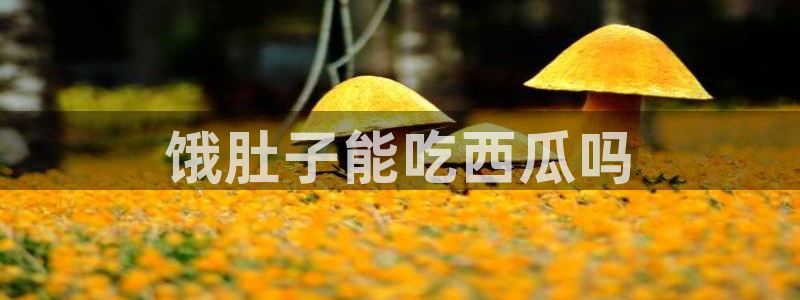 高血糖可以吃籽瓜吗：饿肚子能吃西瓜吗