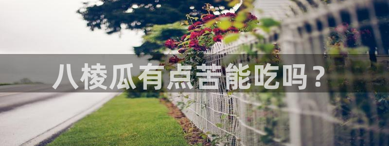 91吃瓜网今日吃瓜入口:八棱瓜有点苦能吃吗?