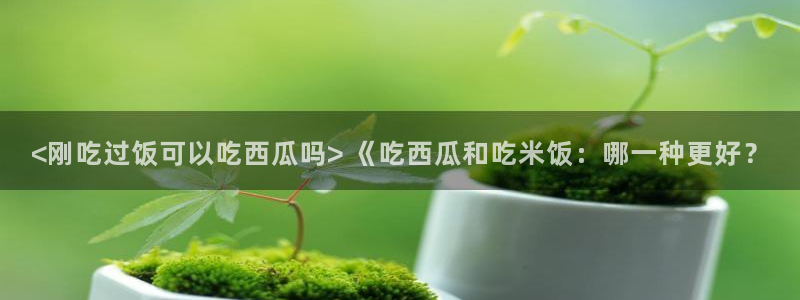 吃瓜是什么意思?：<刚吃过饭可以吃西瓜吗> 《吃西瓜和吃米饭：哪一种更好？