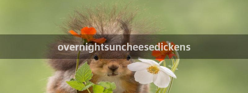 豆瓣自由吃瓜基地:overnightsuncheesedickens
