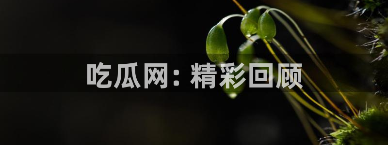 nanataipei吃瓜:吃瓜网: 精彩回顾
