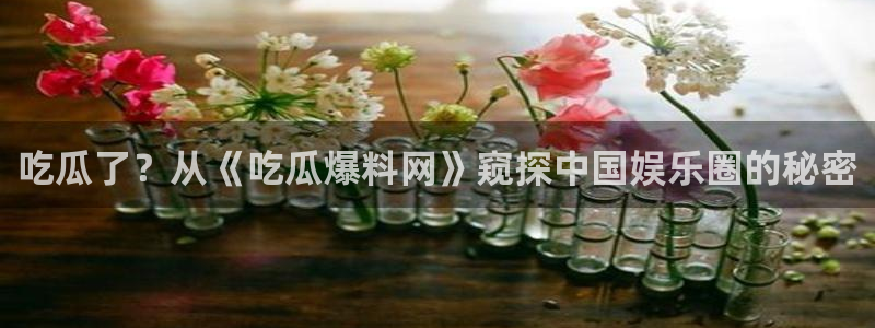 51cgfun吃瓜今日吃瓜必吃:吃瓜了?从《吃瓜爆料网》窥探中国娱乐圈的秘密