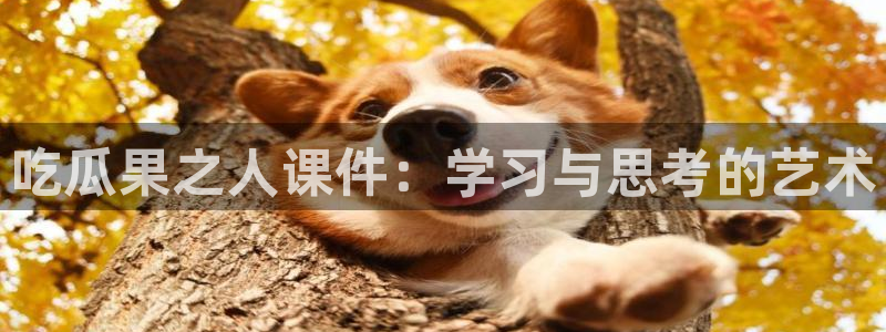 nanataipei51吃瓜