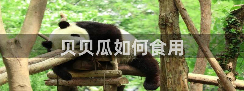 吃瓜吃瓜：贝贝瓜如何食用