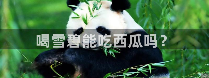51cgfun吃瓜网 必看大瓜：喝雪碧能吃西瓜吗？