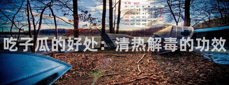 吃瓜爆料网不打烊回家：吃子瓜的好处：清热解毒的功效