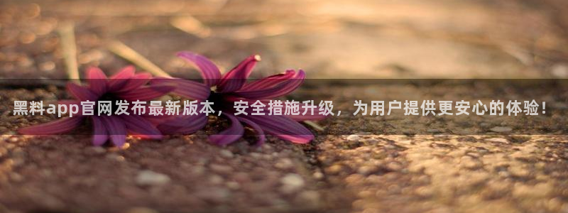 91吃瓜今日吃瓜入口:黑料app官网发布最新版本,安全措施升级,为用户提供更安心的体验!