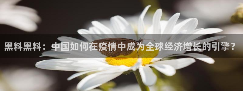 51吃瓜onlyfans网黄：黑料黑料：中国如何在疫情中成为全球经济增长的引擎？