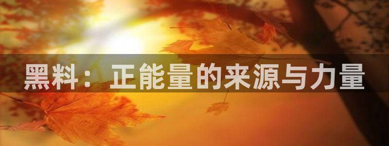番茄和茄瓜能一起吃吗：黑料：正能量的来源与力量