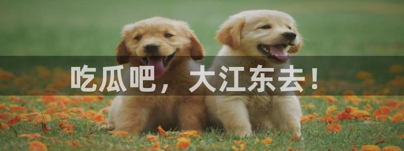 板栗瓜怎样做最好吃：吃瓜吧，大江东去！