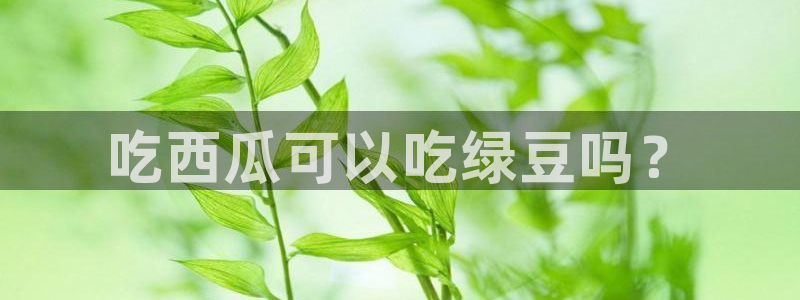 吃瓜去哪个网:吃西瓜可以吃绿豆吗?