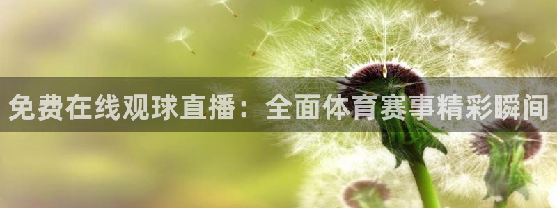 51吃瓜全网吃最快的瓜:免费在线观球直播:全面体育赛事精彩瞬间