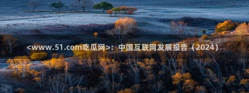 51吃瓜全网更新最快的吃瓜网:<www.51.com吃瓜网>:中国互联网发展报告(2024)